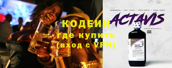 гашик Алексин