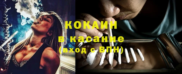 прущие крисы Аркадак